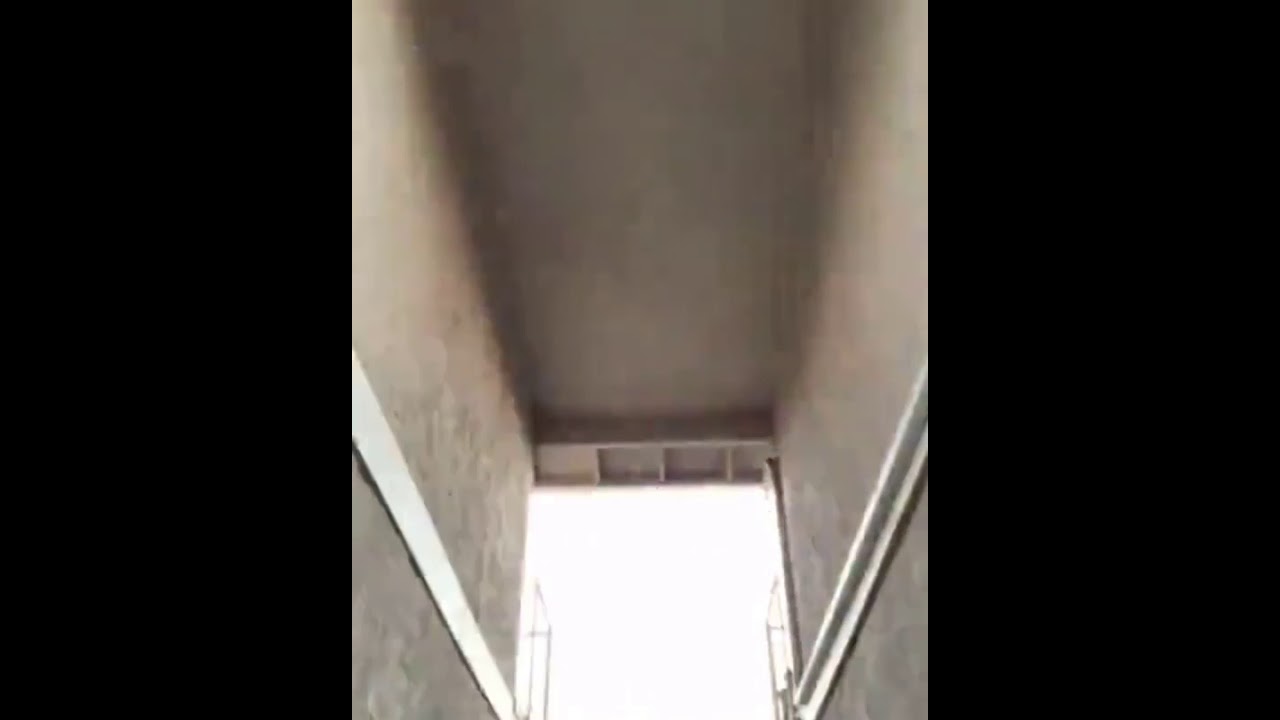 www.youtube.com