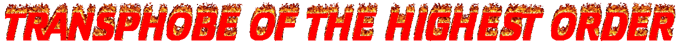 Fx19htP.gif