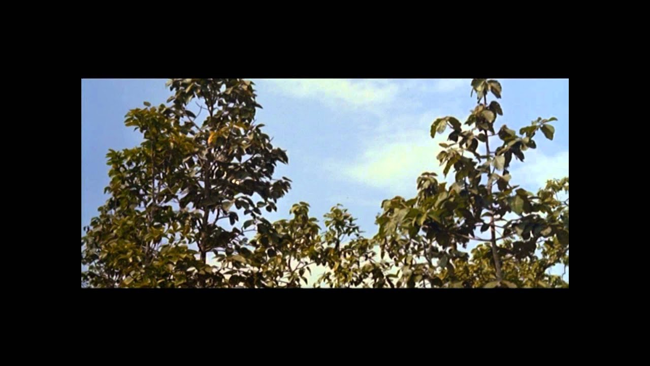 www.youtube.com